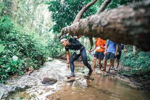 BIB: 
                            <button type="button" onclick="openModal(25373345)" class="btn btn-primary btn-sm float-right btn-popup" data-toggle="modal" data-target=".modal-high-quality">
                        <i class="fas fa-shopping-cart"></i> Add to Cart
                    </button>
                                            <button type="button" onclick="isThisMe(25373345, true)" class="btn btn-success btn-sm float-right btn-popup btn-isme hidden" data-toggle="tooltip" data-placement="bottom" title="นี่คือรูปของคุณใช่ไหม คลิกที่นี่เพื่อเอาเข้าอัลบั้ม">
                        <i class="fas fa-plus"></i> Add to album
                    </button>
                    <button type="button" onclick="isThisMe(25373345, false)" class="btn btn-warning btn-sm float-right btn-popup btn-isnotme hidden">
                        <i class="fas fa-ban"></i> Remove from album
                    </button>